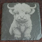 Kalb 1