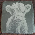 Kalb 3