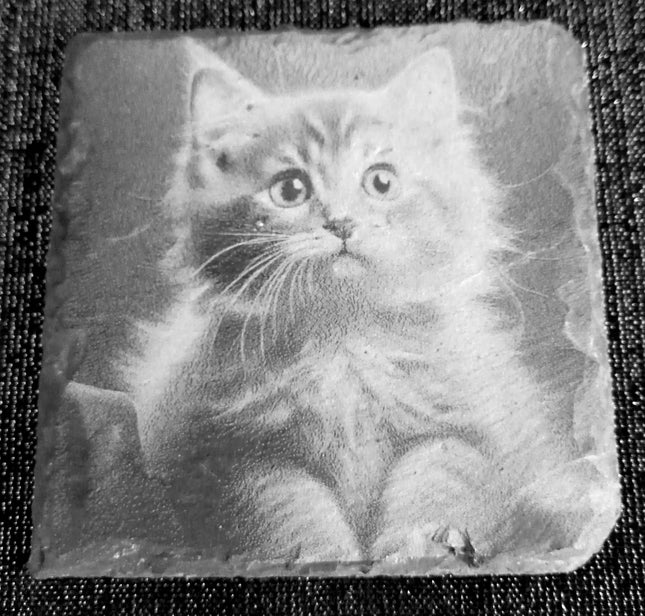 Untersetzer graviert, aus Schiefer, Katzen einzeln oder als Viererset