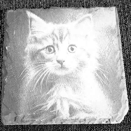Untersetzer graviert, aus Schiefer, Katzen einzeln oder als Viererset