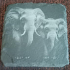 Elefant 1