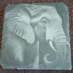 Elefant 4