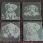 Welpen 4er Set