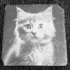 Katze 2