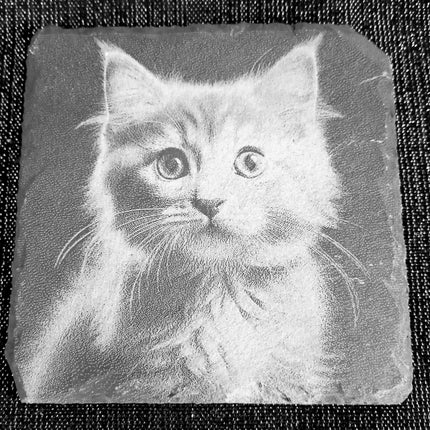 Untersetzer graviert, aus Schiefer, Katzen einzeln oder als Viererset