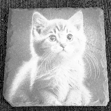 Untersetzer graviert, aus Schiefer, Katzen einzeln oder als Viererset