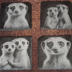 Erdmännchen 4er Set