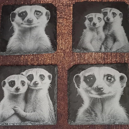 Untersetzer graviert, aus Schiefer, Erdmännchen einzeln oder als Viererset